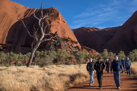 Uluru Highlights Small Group Morning Tour + Picnic Breakfast