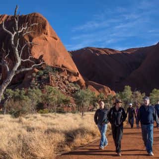 Uluru Highlights Small Group Morning Tour + Picnic Breakfast