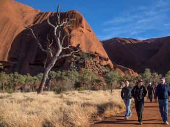 Uluru: Entdeckungstour in Kleingruppe am Morgen & Frühstück Uluru: Entdeckungstour in Kleingruppe am Morgen & Frühstück