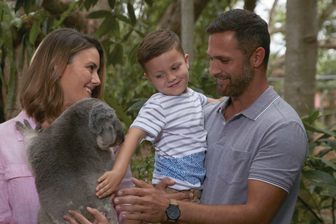 Brisbane: rondvaart en bezoek aan Koala SanctuaryBrisbane: rondvaart en bezoek in het Koala Sanctuary