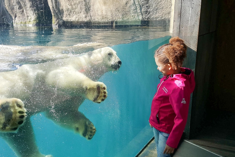 Rotterdam : billet coupe-file pour le zoo de RotterdamZoo de Rotterdam : billet d'entrée