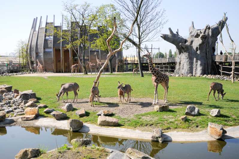 Rotterdam: biglietto d'ingresso allo Zoo di Rotterdam Blijdorp