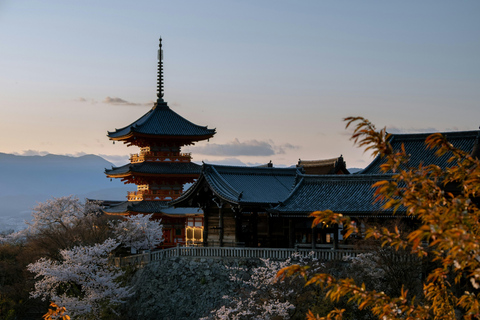 Japan Route 1 : Nagoya to Kyoto, Nara&Osaka One-Way Day Tour Nagoya to Kyoto, Nara & Osaka 1PC baggage incl