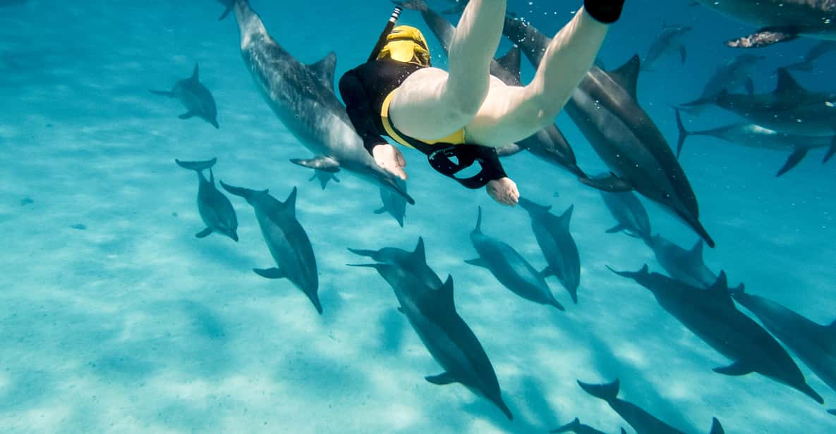 Oahu: Eco-Friendly West Oahu Snorkel Sail with Dolphins