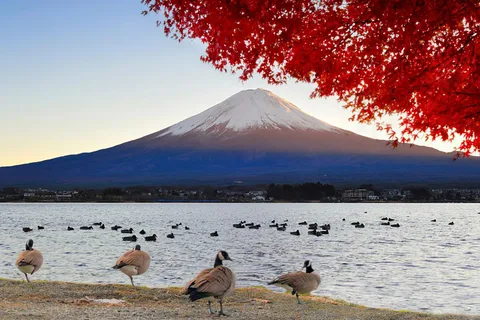 De Tóquio: Excursão de um dia ao Monte Fuji, Lago Kawaguchi e Oshino Hakkai
