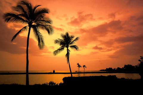 Big Island: luxe catamarantrip langs de kust van Kona