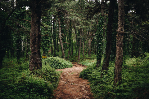 Avventura in E-MTB sulla collina di Vrmac