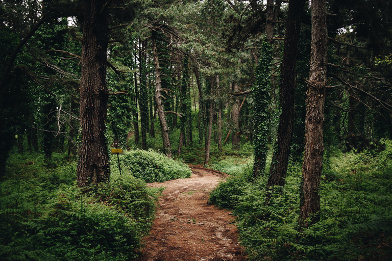 Avventura in E-MTB sulla collina di Vrmac