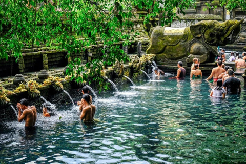 Ubud: Apenbos, Rijstterras, Schommel, Watertempel