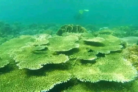 Excursion d&#039;une journée avec plongée en apnée Gili Layar/Gili Gede&amp;Gili Rengit