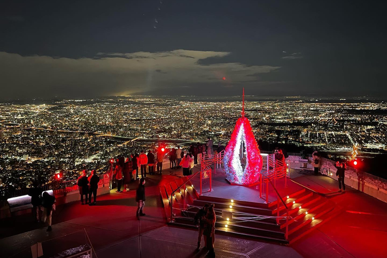 From Sapporo: Lake Shikotsu & Mt. Moiwa Night View Tour Hiace (up to 9) — Private Day Tour