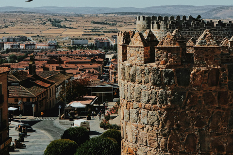 Von Madrid: Segovia, Ávila und Toledo mit Weingut in 2 TagenEinzelzimmer