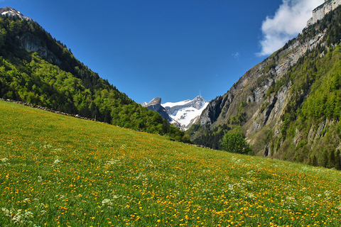 Jungfraujoch & Interlaken | VIP Sprinter Small Group
