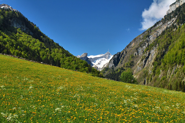 Jungfraujoch & Interlaken | VIP Sprinter Small Group