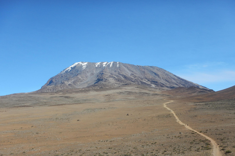 Mont Kilimandjaro : ascension de l&#039;Umbwe Roure