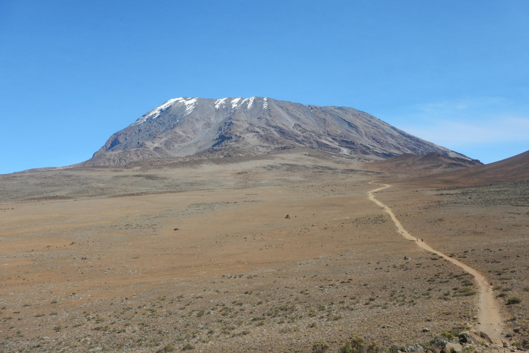 Mount Kilimanjaro: Umbwe Roure climbing