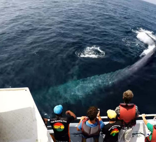 Excursões de Vários Dias a partir de Galle