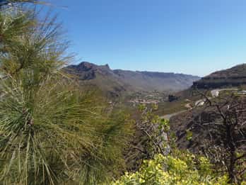 Ab Las Palmas: Wunder von Gran Canaria Tagestour Ab Las Palmas: Wunder von Gran Canaria Tagestour