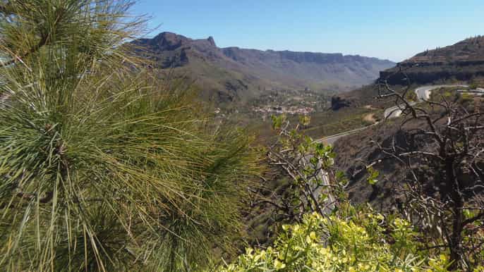 from las palmas wonders of gran canaria fullday tour