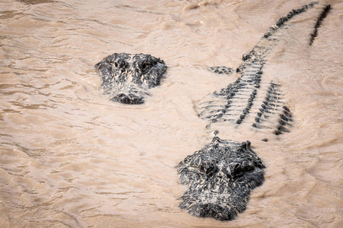 Miami: Everglades Airboat and Wildlife Reserve