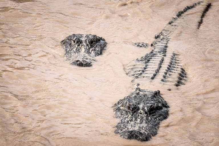 Miami: Everglades Airboat and Wildlife Reserve