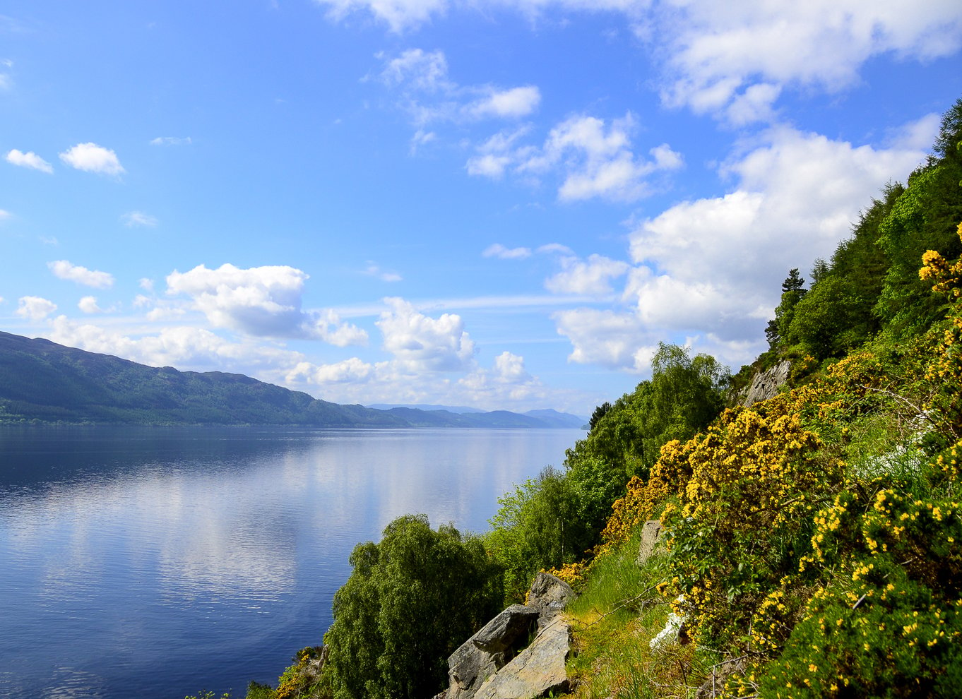 Loch Ness: Urquhart Castle Rundturskrydstogt