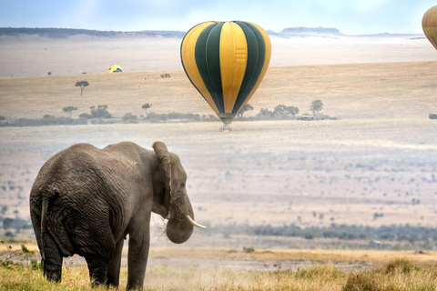 Kenya: 7-Day Masai Mara, Lake Nakuru, and Samburu Safari