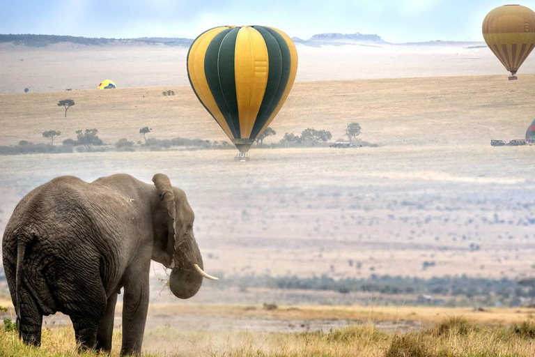 Kenya: 7-Day Masai Mara, Lake Nakuru, and Samburu Safari