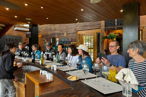 San Antonio Cruise Tour Valparaíso &amp; Casablanca, Santiago