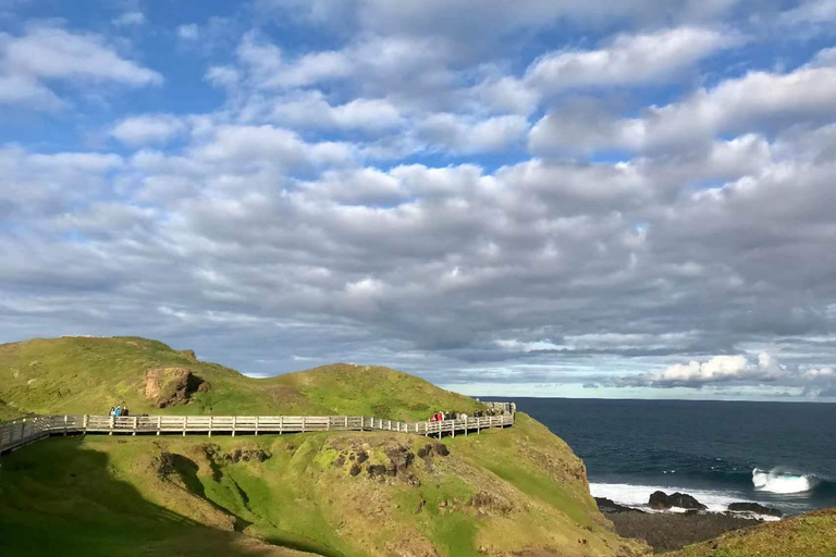 Melbourne: Tren Puffing Billy y Excursión a la Isla de los Pingüinos