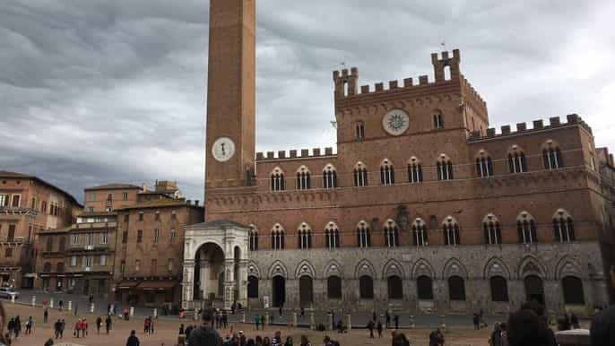private tour of the civic museum in siena