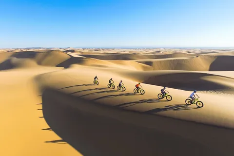 Swakopmund: Excursión panorámica en bicicleta por el desierto
