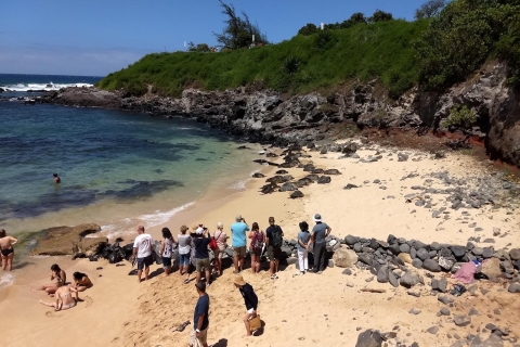 Maui: Road to Hana Adventure with Breakfast & Lunch Hana Adventure with Breakfast, Lunch - Kahului Meeting Point