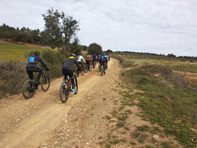 Visit Salomon's Route in the Côa Valley in Guarda, Portugal