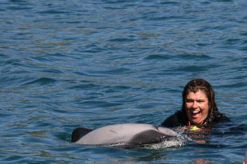 Swim with Dolphins in New Zealand