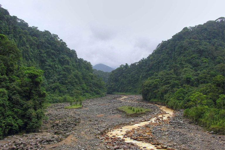 COSTA RICA:UPPTÄCK COSTARICAS VILDA DJUR-STRAND &amp; SKOG 2VECKOR