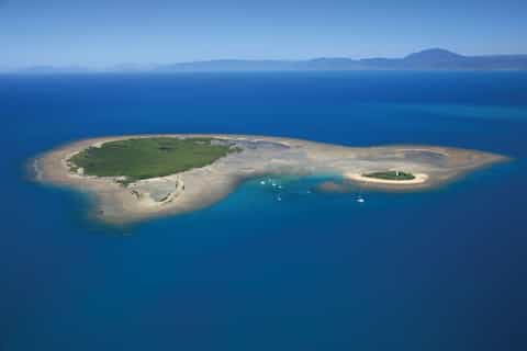 Port Douglas: Low Isles Afternoon Cruise on Luxury Catamaran