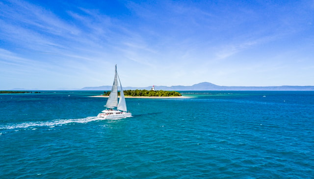 Port Douglas: Reef & Low Isles Cruise on Luxury Catamaran