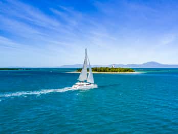 Port Douglas: Crociera sulla barriera corallina e sulle isole basse in catamarano di lusso