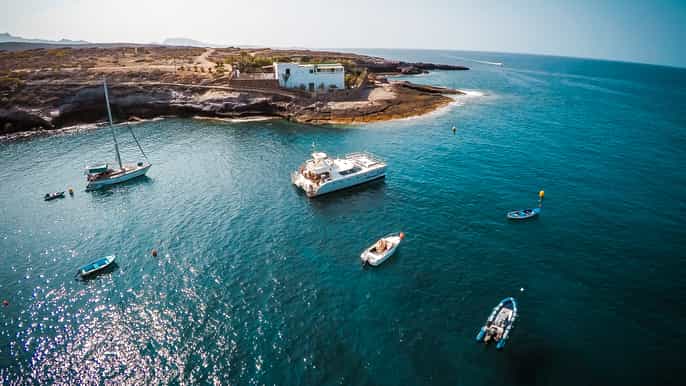 tenerife catamarán para avistar ballenas y delfines