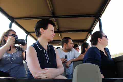 From Johannesburg: Pilanesberg Nature Reserve Game Safari