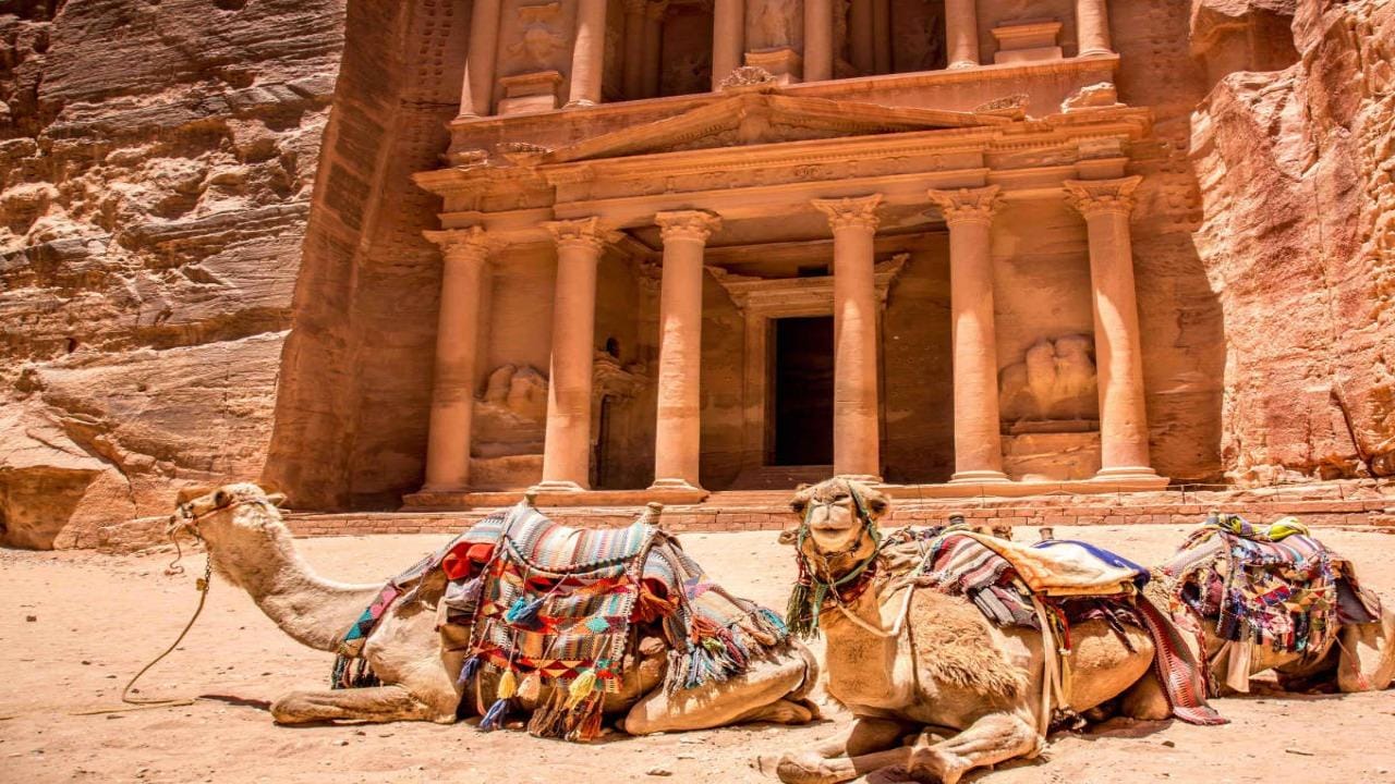 Petra & Totes Meer: Private Tagestour