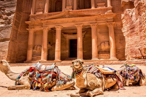 Dead Sea: Petra and Wadi Rum Day Trip with Jeep Tour