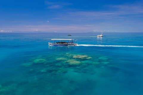 De Cairns: croisière en catamaran dans le parc national de Michaelmas CayOption standard