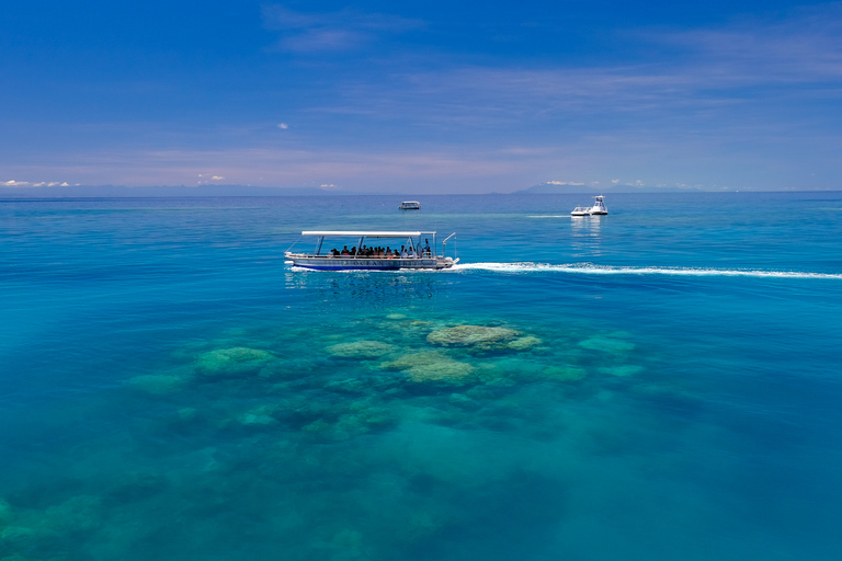 Från Cairns: Kryssning till Michaelmas Cay med vattenaktiviteter