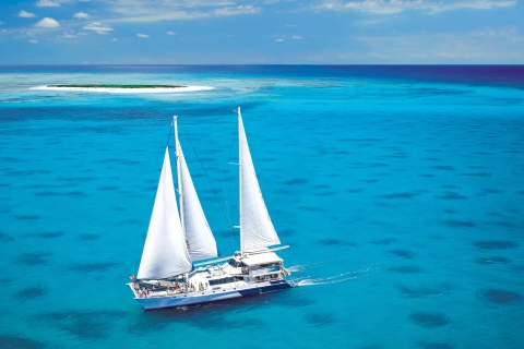 From Cairns: Michaelmas Cay National Park Catamaran Cruise Standard Option