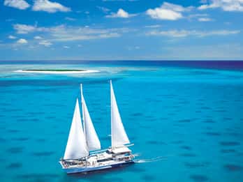 Ab Cairns: Michaelmas Cay Nationalpark Katamaran-Tour Ab Cairns: Michaelmas Cay Nationalpark Katamaran-Tour