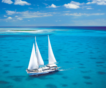 From Cairns: Cruise to Michaelmas Cay with Water Activities