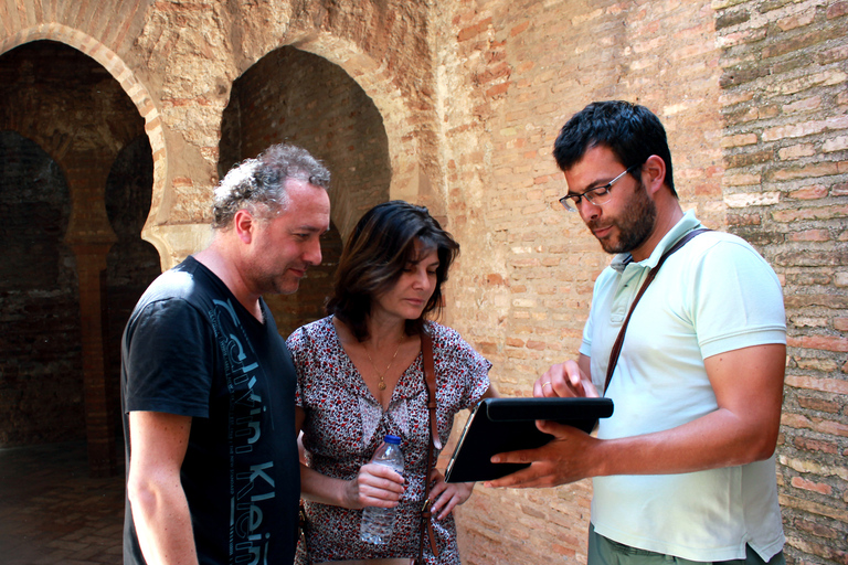 Granada: Alhambra and Nasrid Palaces Private Tour