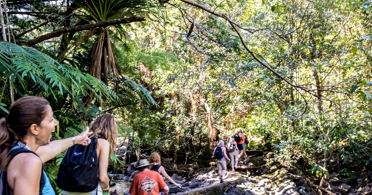 Maui: 5-Hour Waterfall & Rainforest Hike with Picnic Lunch - Kahului ...